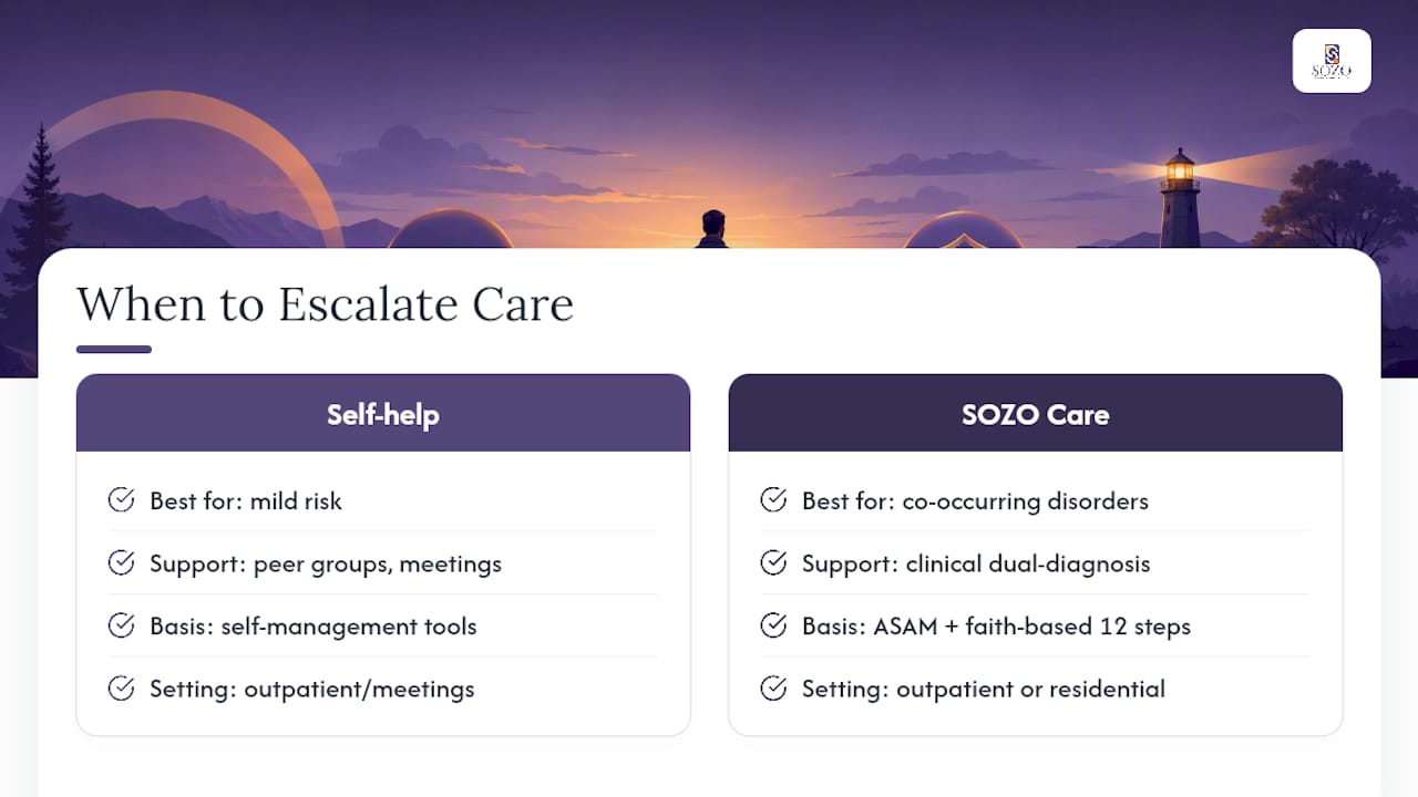 When Self-Management Isn't Enough: SOZO's Approach — overview diagram