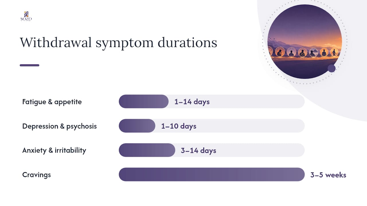 Which Meth Withdrawal Symptoms Last the Longest? — overview diagram