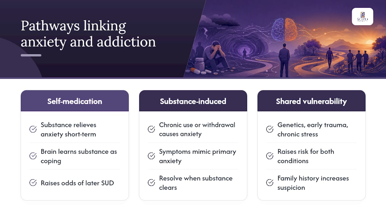 Three pathways linking anxiety and addiction